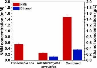 Overall NMN and ethanol production using cell-free enzymes from recombinant E. coli BL21(DE3) and S. cerevisiae.
