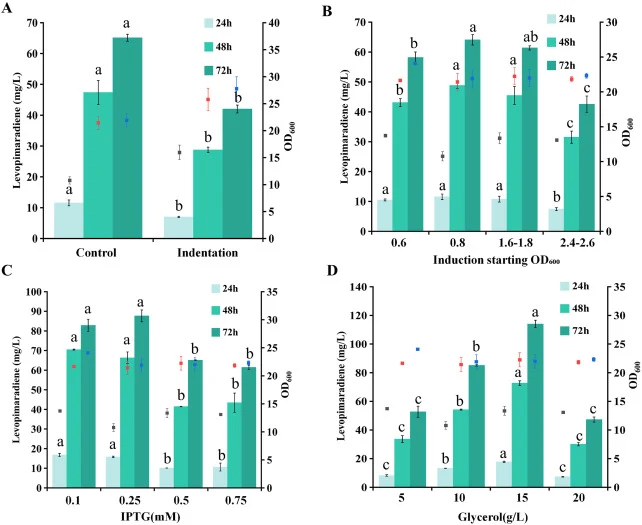 Optimization of shake-flask fermentation conditions for levopimaradiene production in engineered strains. (A) Optimization of dissolved oxygen conditions (round-bottom/baffled conical flasks); (B) Optimization of induction timing (OD600 range: 0.6-2.6); (C) Optimization of IPTG concentration conditi