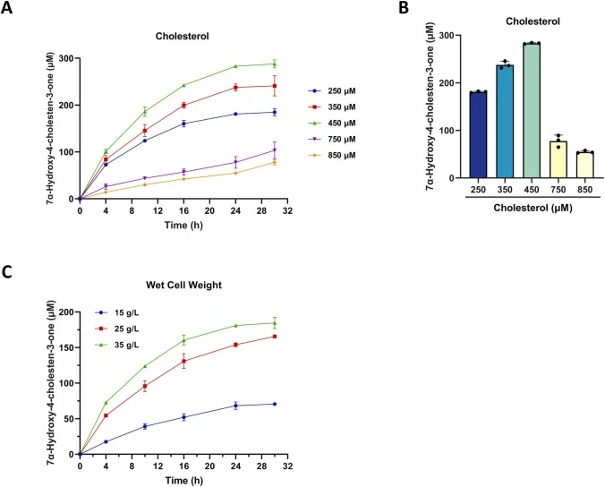 全细胞生物催化7α-HCO的底物浓度与静息细胞密度优化。(A) 胆固醇浓度和反应时间对7α-HCO产量的影响。胆固醇浓度从250 μM增至450 μM提高了产物得率,而更高浓度(75