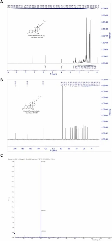 7α-HCO的结构表征。(A) 纯化7α-HCO在CDCl₃中于400 MHz记录的¹H-NMR谱。化学位移和多重峰与文献报道一致。(B) 纯化7α-HCO在CDCl₃中于101 MHz记录的¹³C-NMR谱,确认了碳骨架。