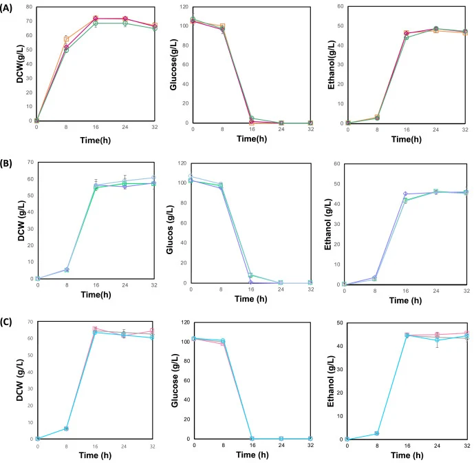 Growth ability and fermentation features of three yeast strains. (A) Growth ability and fermentation features of Saccharomyces cerevisiae SNUit strain (□), S. cerevisiae SNUit wild-type (◇), S. cerevisiae SNUit ΔCAR1 (complete CAR1 deletion) (○), and S. cerevisiae SNUit Gln26stop (CAR1 mutant with a