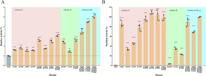 The relative activity and the residual activity of the variants screened from the libraries. A. Relative activity of DAAO variants compared to Mu0. Variants M1–1 to M1–8 were screened from library A, variants M2–1 to M2–3 were screened from library B, and variants M3–1, M3–2, and M4 were the combina