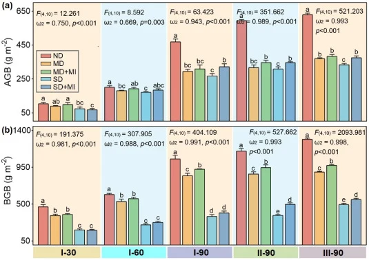 Variations of aboveground biomass (AGB, a) and belowground biomass (BGB, b) across five sampling times. ND, non-degraded meadow; MD, moderately degraded meadow; MD + MI, moderately degraded meadow with native Pseudomonas inoculant; SD, severely degraded meadow; SD + MI, severely degraded meadow with