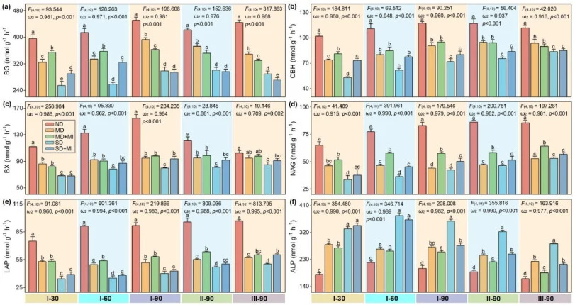 Temporal dynamics of C-, N-, and P-acquiring extracellular enzyme activities across five sampling times. (a) β-1,4-glucosidase (BG); (b) cellobiohydrolase (CBH); (c) β-xylosidase (BX); (d) β-1,4-N-acetylglucosaminidase (NAG); (e) leucine aminopeptidase (LAP); (f) alkaline phosphatase (ALP). ND, non-