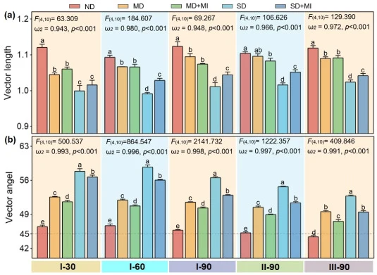 Microbial resource limitation quantified by extracellular enzyme vector analysis across five sampling times. (a) Vector length represents relative microbial carbon limitation (longer vectors indicate stronger C demand); (b) Vector angle reflects relative nitrogen vs. phosphorus limitation (angles >