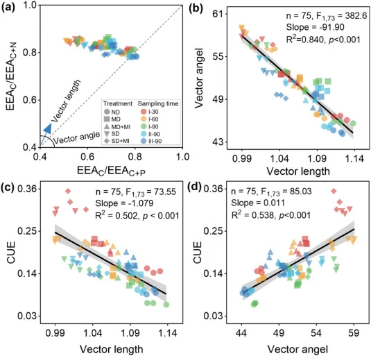 Correlations between microbial resource limitation indices and microbial carbon use efficiency (CUE). (a) Schematic diagram of enzyme vector calculation based on C-, N-, P-acquiring enzyme ratios; (b) Linear regression between vector length and vector angle; (c) Negative correlation between vector l