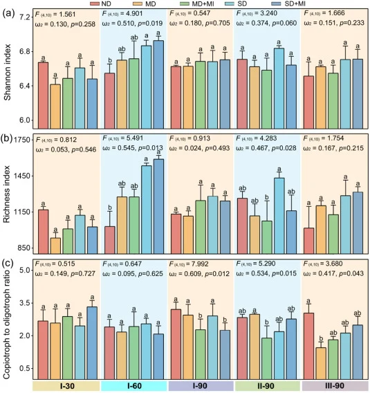 Temporal dynamics of bacterial α-diversity and copiotroph-to-oligotroph ratio across five sampling times. (a) Shannon diversity index; (b) Richness index; (c) copiotroph/oligotroph abundance ratio. ND, non-degraded meadow; MD, moderately degraded meadow; MD + MI, moderately degraded meadow with nati