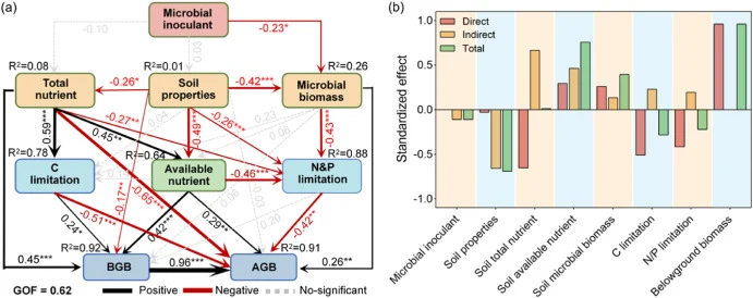 Partial least squares path models (PLS-PM) illustrating direct and indirect pathways through which soil variables influence plant biomass under different degradation levels and MI treatments. (a) Path diagram showing direct/indirect effects of microbial inoculant, soil properties, nutrient pools and