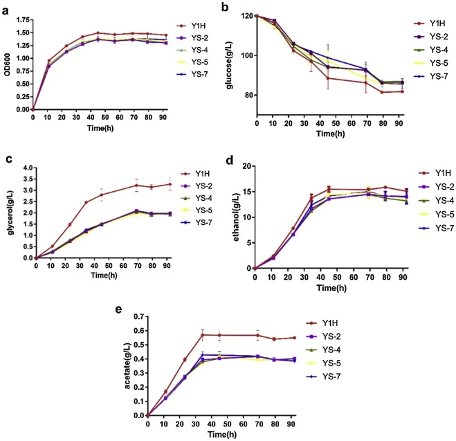 Shake flask fermentation profile for cell growth, glucose utilization and accumulation of fermentation products of wild-type Y1H and the engineered strains YS-2, YS-4, YS-5 and YS-7. (a) Cell growth at OD600, (b) glucose, (c) glycerol, (d) ethanol and (e) acetate concentrations versus time. Error ba