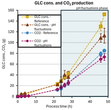 在参考条件和pH波动条件下的葡萄糖消耗与CO₂产生。图中展示了随时间变化的葡萄糖消耗（黄色和棕色）及CO₂释放（蓝色和品红色）曲线。阴影区域表示PFR连接24小时后启动的pH波动期。数值