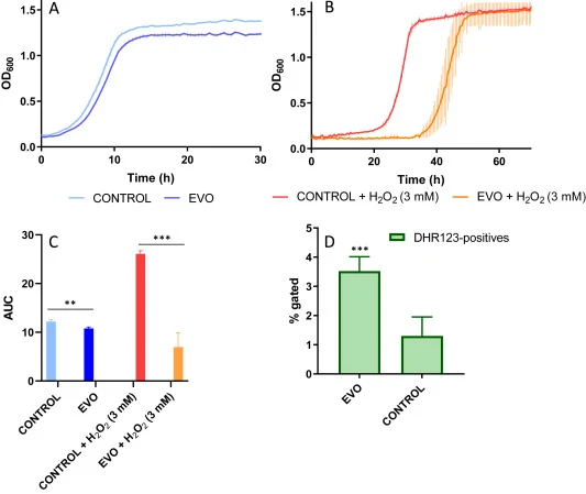 Growth curves of CONTROL and EVO strains were obtained from growth in SMM at 28 °C (A) and under the same conditions but challenged with H2O2 (B). AUC was calculated at a time where all curves reached stationary phase, being 18 h for unstressed cultures, and 48 h for cultures challenged with H2O2 (C