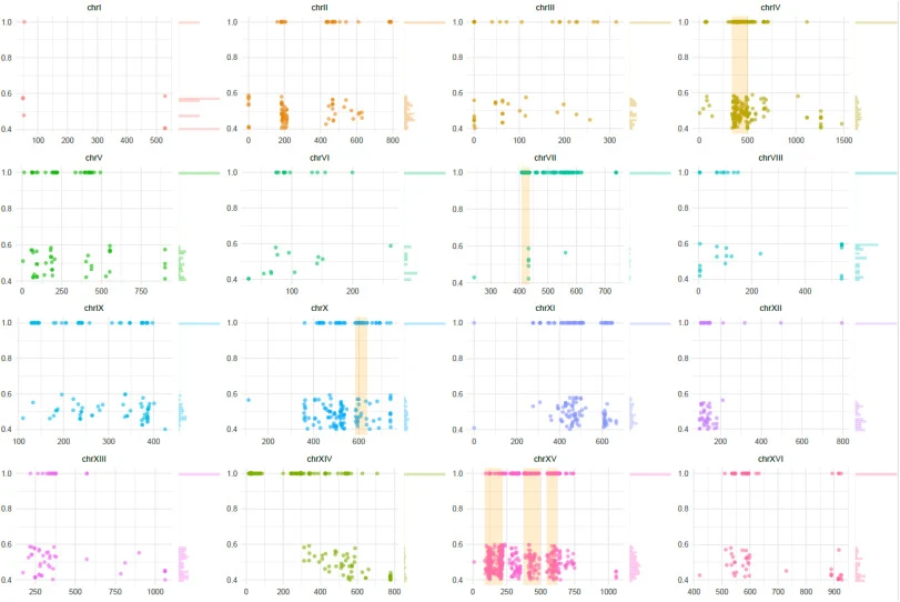 SNP distribution across the different chromosomes represented as coloured dots using the genomic coordinates in the x axes and the observed frequency in the y axes for EVO strain compared to CONTROL. High-SNP density regions are highlighted. Variations in heterozygosis displayed a frequency close to