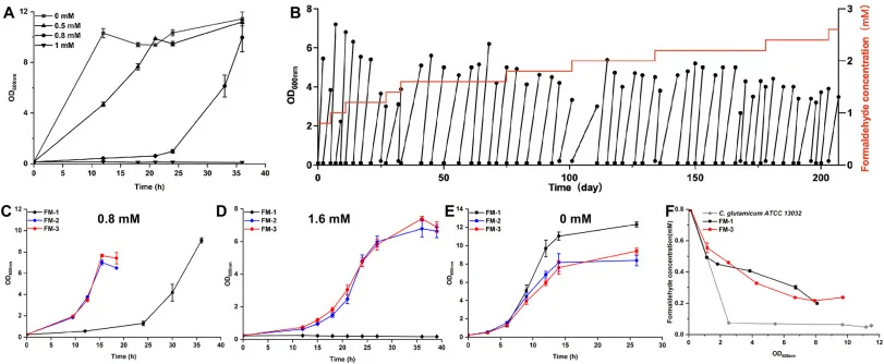 Improving the tolerance to formaldehyde via ALE. (A) Growth of FM-1 in minimal medium with 10 g/L glucose and different formaldehyde concentrations. 0 mM (square), 0.5 mM (triangle), 0.8 mM (circle), and 1 mM (inverted triangle). (B) ALE procedure of culture-1 in CGXII minimal medium supplemented wi
