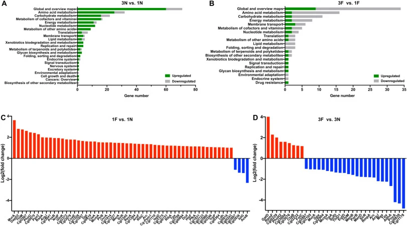 Comparison of proteomes between FM-3 and FM-1 cultivated with formaldehyde or without formaldehyde stress. Functional classification of transcriptome differences based on KEGG_small_class annotation in 3N vs. 1N (A), 3F vs. 1F (B). Proteins with differentially expression in 1F vs. 1N (C) and 3F vs.
