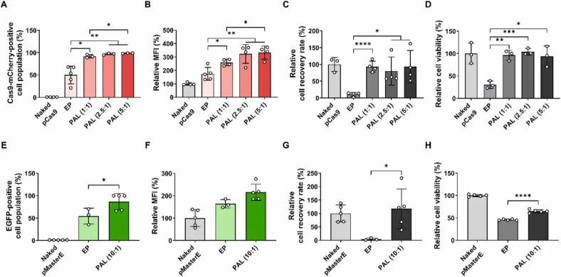 Transfection efficiency and cell recovery comparison between PAL and EP for pCas9 (9283 bp) and pMasterE (29,350 bp) delivery. (A) Percentage of mCherry-positive cells, (B) relative MFI, and (C) relative cell recovery rate in HEK293T cells for EP and PAL at different N:P ratios, measured using a flu