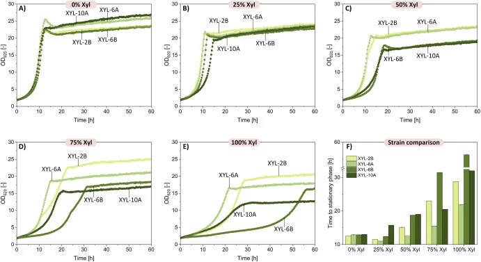 Growth of benchmark strains across glucose–xylose ratios. XYL-2B, XYL-6A, XYL-6B, and XYL-10A were grown at total sugar 25 g L−1 with 0%, 25%, 50%, 75%, or 100% xylose. Panels A–E: growth profiles; (F) time to stationary phase. Data are means ± s.d. (biological duplicates).
