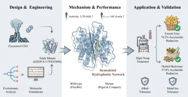 Rational design of ancestral L-asparaginase via dynamics-gui