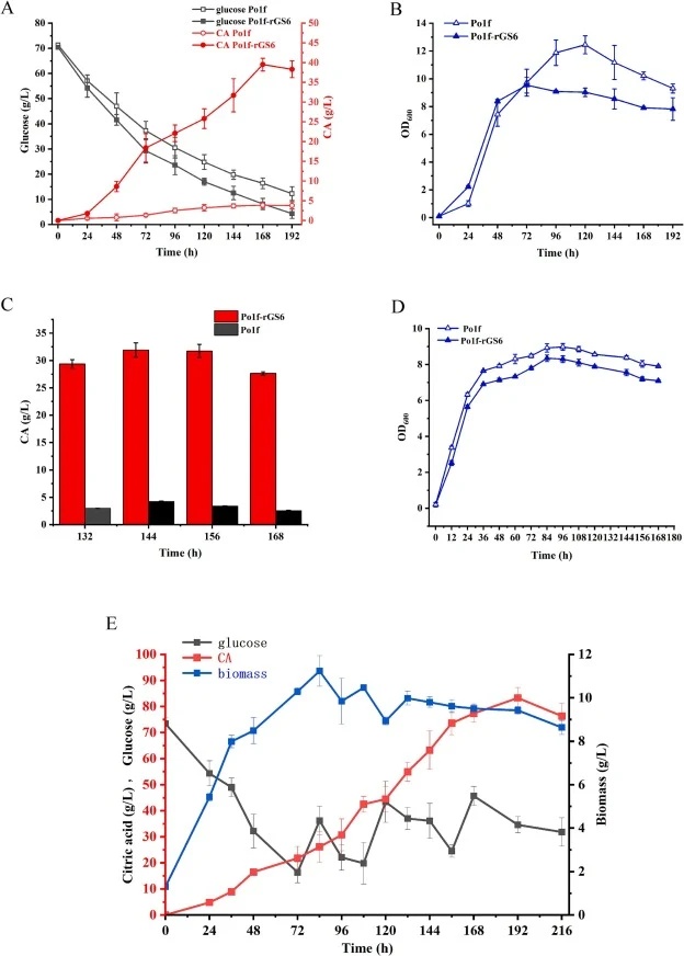 Fermentation of strain Po1f-rGS6. Comparison of CA production (A) and OD600 (B) between Po1f-rGS6 and the original strain Po1f in shake flask fermentation using 70 g/L glucose as the substrate; Comparison of CA production (C) and OD600 (D) between Po1f-rGS6 and the original strain Po1f in shake flas