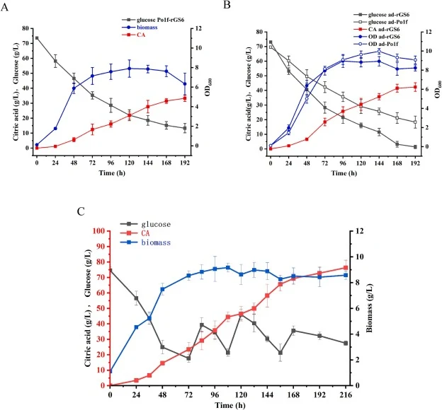 Fermentation of strains with corn stover hydrolysate as substrate. (A) Fermentation of Po1f-rGS6 with corn stover hydrolysate as substrate in shake flask fermentation; (B) Comparison of fermentation parameters between the adapted strain ad-rGS6 and the original strain as-rGS6 with corn stover hydrol