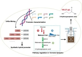Expanding the genetic toolkit of Yarrowia lipolytica: Dynami