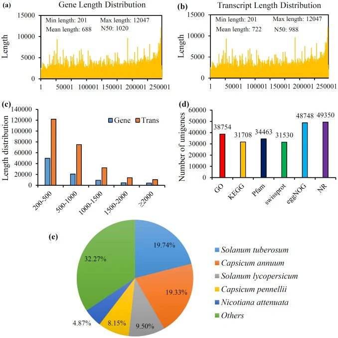 Overview of Illumina sequencing and transcriptomic profiling among four different Physalis species. (a) Detailed information on the assembled transcripts and unigenes (b). (c) Size distribution of transcripts and unigenes. (d) Functional annotation of unigenes based on various databases. (e) Species