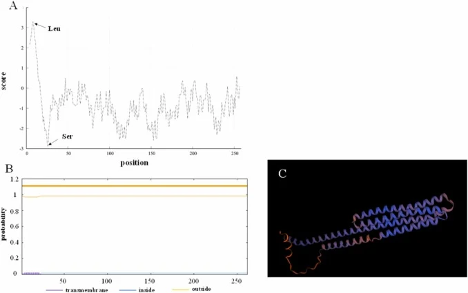 Bioinformatic characterization of turbot Apoea protein. (A) Prediction of transmembrane helices in the Apoea amino acid sequence. (B) Hydropathy profile of the predicted Apoea protein. Positive values indicate relatively hydrophobic regions, whereas negative values indicate relatively hydrophilic re