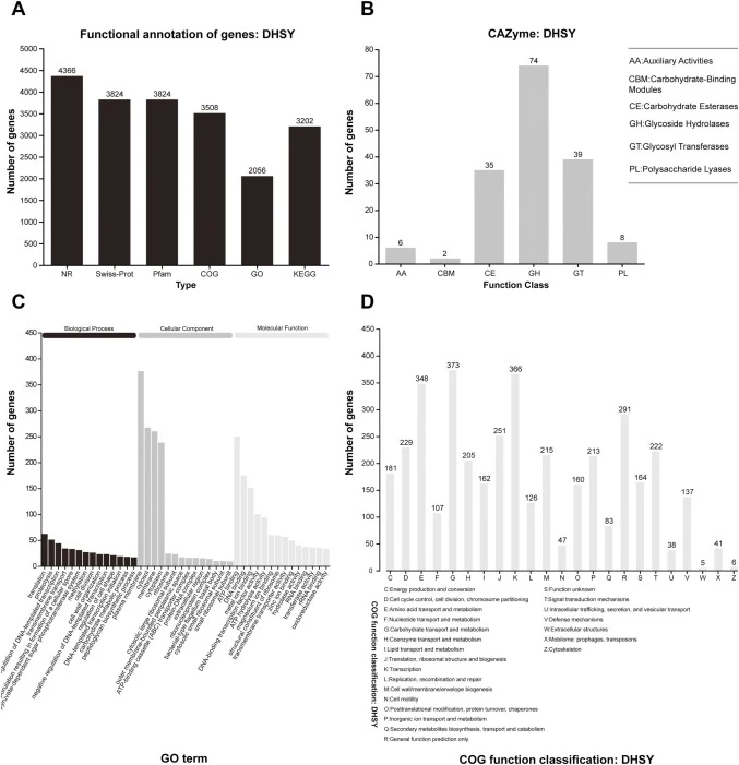 Functional annotation of the whole genome of B. paralicheniformis DHSY. (A)general functional annotation, (B) CAZyme annotation, (C) COG functional classification, (D) and GO annotation.