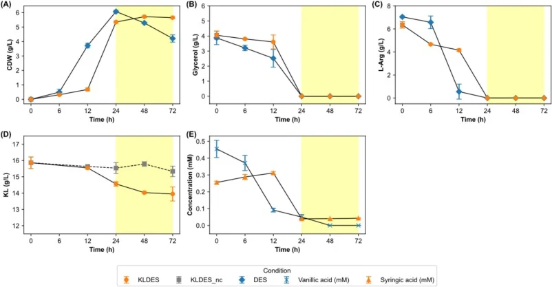 Growth and substrate consumption profiles of KT2440 under different fermentation conditions. (A) Cell dry weight (CDW), (B) glycerol, (C) L-arginine, (D) Kraft lignin (KL), and (E) lignin-derived phenolic acids, vanillic acid (blue x cross) and syringic acid (orange triangle), were monitored over ti