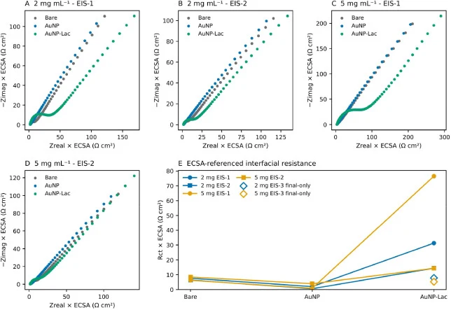 ECSA-referenced EIS response during sequential functionalization. (A-D) Experimental Nyquist data for the complete Bare→AuNP→AuNP-laccase trajectories of the independently prepared EIS-1 and EIS-2 electrodes under the 2 and 5 mg mL−1 nominal laccase immobilization conditions, displayed over the comm