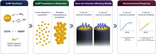 Graphical abstract. Working framework linking thiol-mediated gold nanoparticle (AuNP) formulation screening, selection of the CSTN-BDMT 1:1 population for electrode studies, nominal laccase immobilization conditions, and bisphenol A (BPA)-dependent electrochemical response. The 2 and 5 mg mL−1 condi