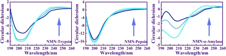 CD of trypsin/pepsin/α-amylase-NMN. Ctrypsin/pepsin/α-amylase = 1.00 × 10-4 mol/L. CNMN = 0.00, 2.00 and 4.00 (×10–4 mol/L).