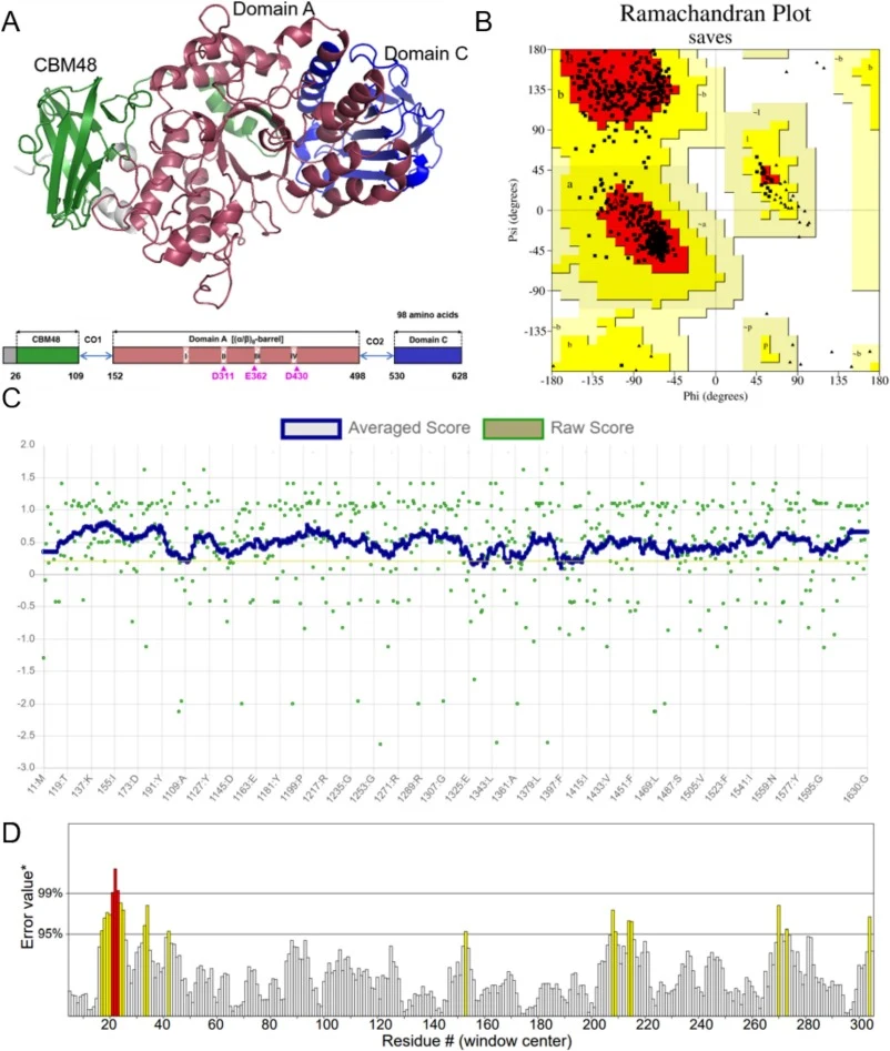Structural modeling and accuracy validation of the AlphaFold2-predicted AaGBE model. (A) Predicted protein structure modeling of AaGBE generated by AlphaFold2. (B) Ramachandran plot showing 90.1% of residues in the most favored regions. Ramachandran plot depicting the distribution of phi (φ) and psi