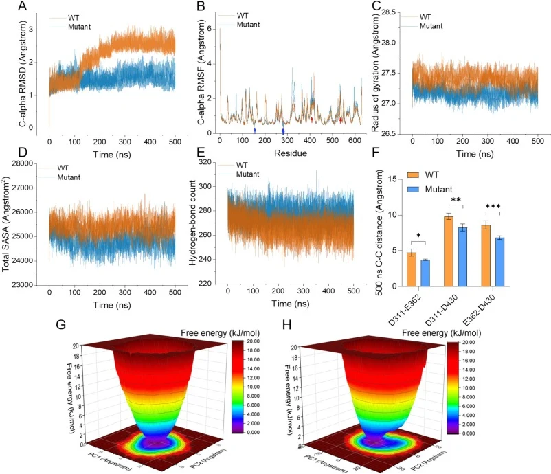 Molecular dynamics simulation analysis of WT AaGBE and the mutant V155L-V280I-D282N-H408C-W536C over 500 ns of simulation. (A) RMSD of protein backbone atoms for WT and the mutant. (B) RMSF per residue for WT and the mutant. Blue arrows indicate flexible-site mutations (V155L, V280I, D282N); red arr