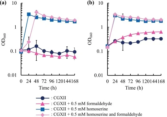 Effect of introduction of hpaI and leuDH genes on the growth of the homoserine auxotrophic strain on glucose plus formaldehyde. Growth of the Cg-hSer–/pECt (a) and Cg-hSer–/pECt_tHL (b) strains in CGXII medium supplemented with 0.5 mM formaldehyde and/or homoserine is shown. Average ± standard devia