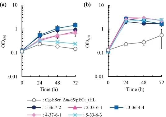 Growth of the evolved strains on glucose plus formaldehyde. Growth of Cg-hSer– ΔnucS/pECt_tHL and evolved strains in CGXII (a) or CGXII-0.3F (b) media is shown. Average ± standard deviation of three independent cultures is shown.