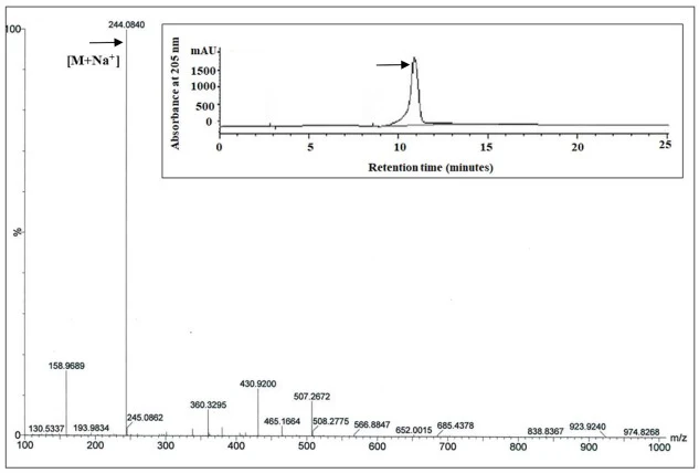 溶胀甲壳素水解产物经HPLC纯化组分的HRMS。数据以仪器正离子模式记录。检测到钠离子(Na+)加合的GlcNAc为主要产物(HPLC色谱图见插图)。