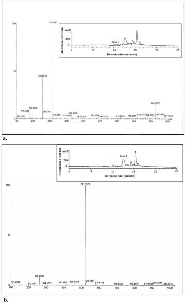 HRMS of the HPLC purified fraction of chitohexaose hydrolysis product. The data was recorded in negative ion mode of the instrument. (a) Bi sulfate (HSO4 −) adducted GlcNAc was detected as one of the products of retention time 10.5 min (b) Phosphate adducted (GlcNAc)2 was detected as one of the prod