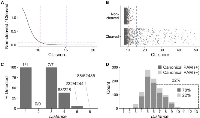 Threshold setting and off-target site detection by Digenome-Detect (A) The ratio of the number of sites with a CL-score greater than or equal to a given value in the non-cleaved sample to that in the cleaved sample. The threshold was defined as the minimum CL-score at which this ratio (non-cleaved/c