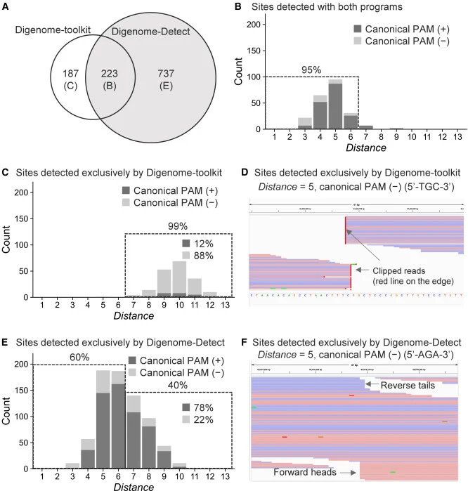 Comparison of detection results using Digenome-Detect and Digenome-toolkit (A) Venn diagram of detection results from both software tools. Alphabets attached to each region correspond to other graphs. (B) Distribution of distance between the gRNA sequence and the sites detected using both Digenome-D