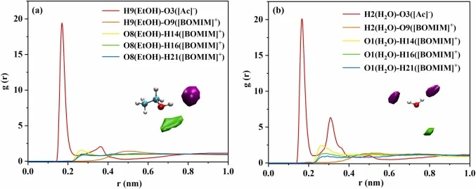 (a) EtOH-ILs [BOMIM][Ac] 和 (b) H2O-ILs [BOMIM][Ac] 体系的 RDF 和 SDF 分析。