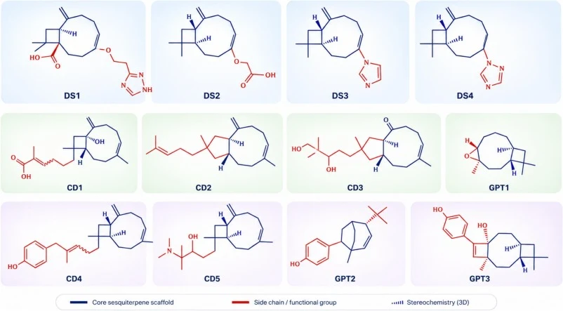 通过AI辅助骨架修饰生成的BCP衍生物二维化学结构，展示所提出类似物之间的结构多样性。