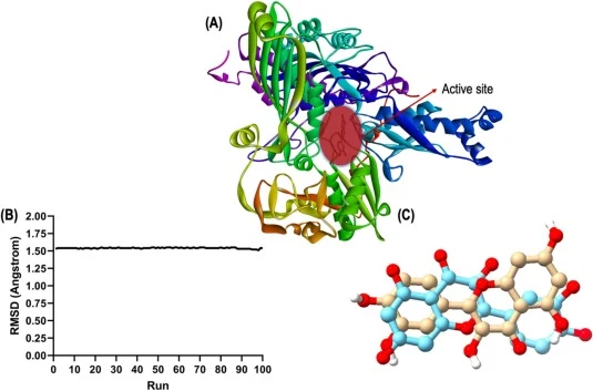 Molecular docking protocol validation. (a) X-ray crystallographic structure of XO pointing its active site, (b) RMSD values over 100 runs, and (c) superimpose of pre-docked (blue) and re-docked (cream) conformational structure of native ligand with RMSD value of 1.54 Angstrom. (For interpretation of