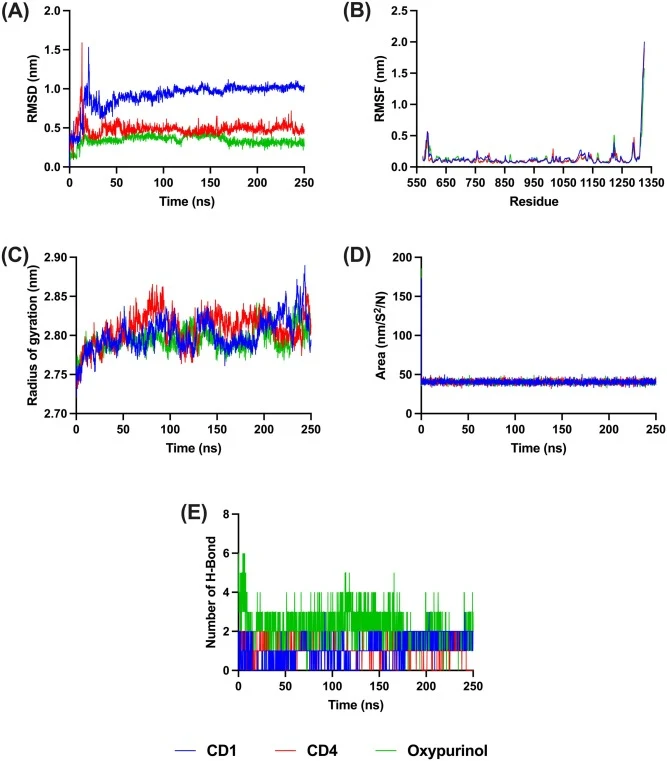 Molecular dynamics analysis of ligand–xanthine oxidase complexes over a 250 ns simulation. (A) Ligand-Backbone RMSD profiles of xanthine oxidase in complex with CD1, CD4 and oxypurinol. (B) Root mean square fluctuation (RMSF) of xanthine oxidase residues. (C) Radius of gyration (Rg). (D) Solvent-acc