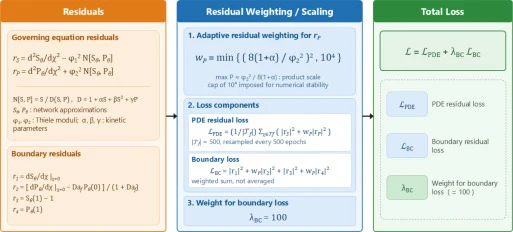 Assembly of the loss function, Eqs. (11)–(17). The residuals of the governing equations and of the boundary conditions are rescaled by the product weight w P of Eq. (17) and the boundary weight λ BC , and combined into the single scalar objective L ( θ ) minimized during training.