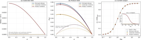 Effect of the electrode surface condition on the dimensionless (a) substrate and (b) product concentrations and (c) current response of the amperometric biosensor following Michaelis–Menten kinetics and the non-Michaelis–Menten kinetics of substrate and product inhibition ( φ 1 = φ 2 = 1 ; dashed: c