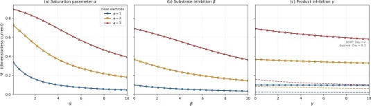 Dimensionless biosensor current Ψ against the kinetic parameters for φ 1 = φ 2 = φ on a clean electrode: (a) Michaelis–Menten, α swept with β = γ = 0 ; (b) substrate inhibition, β swept with α = 4 ; (c) product inhibition, γ swept with α = 4 , the dashed curves giving the fouled electrode Da f = 0.3