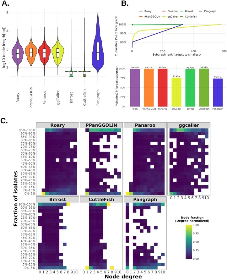 (A) Node length distributions for each method, shown as violin plots of log10-transformed node length (bp). White boxes indicate the median and interquartile range; whiskers extend to 1.5 × IQR. (B) Graph fragmentation metrics. Top: cumulative fraction of total graph content captured as subgraphs ar