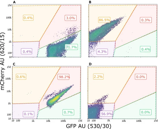 Representative FACS profiles of the different cell types used in the protocol FACS analysis based on GFP (530/30, x-axis) and mCherry (620/15, y-axis) fluorescence was performed on Mat-a cells (A), Mat-α cells (B), mating products (C), and negative-control cells (D). Gates used to distinguish the di
