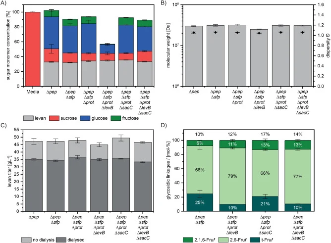 Comparison of P. polymyxa strain variants cultivated in shake flasks. (A) Concentration of residual sugars and produced levan after 48 h of cultivation. Sugar concentrations and levan are given as percent monomer equivalents of the initial sucrose concentration. (B) Molecular weight and dispersity o