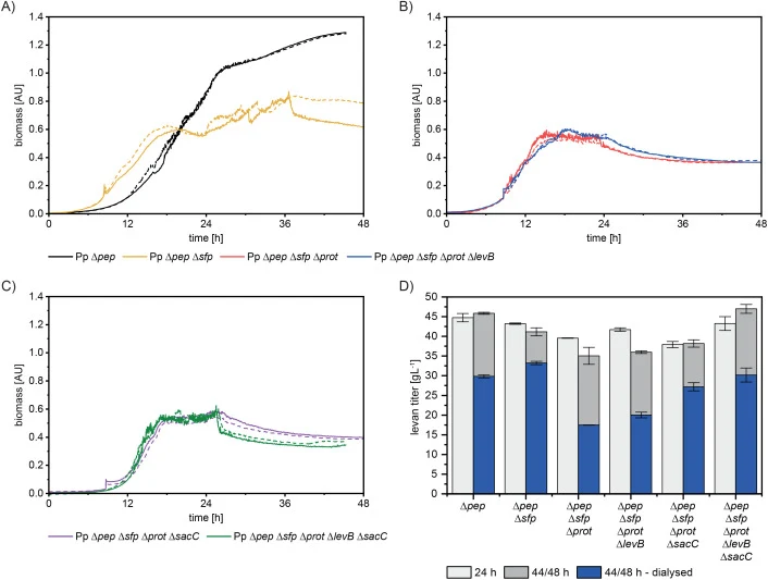 Comparison of P. polymyxa strain variants cultivated in 1 L bioreactors. Bacterial growth of (A) P. polymyxa ∆pep and P. polymyxa ∆pep ∆sfp (B) P. polymyxa ∆pep ∆sfp ∆prot and P. polymyxa ∆pep ∆sfp ∆prot ∆levB, and (C) P. polymyxa ∆pep ∆sfp ∆prot ∆sacC and P. polymyxa ∆pep ∆sfp ∆prot ∆levB ∆sacC. (D